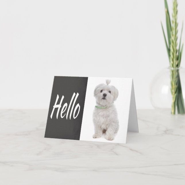 Hello White Maltese Puppy Chalkboard Note Card Karte (Vorderseite)