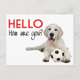 Hello Yellow Labrador Retriever Post Card Postkarte