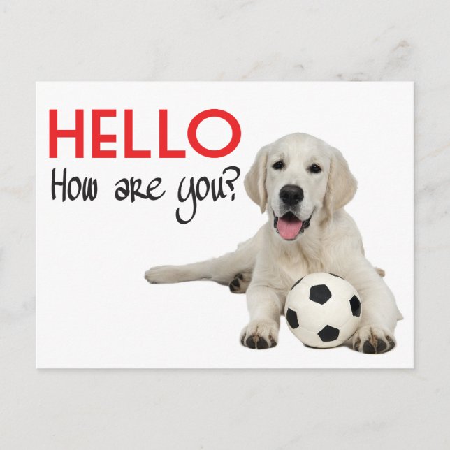 Hello Yellow Labrador Retriever Post Card Postkarte (Vorderseite)