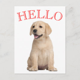 Hello Yellow Labrador Retriever Puppy Dog Postkarte