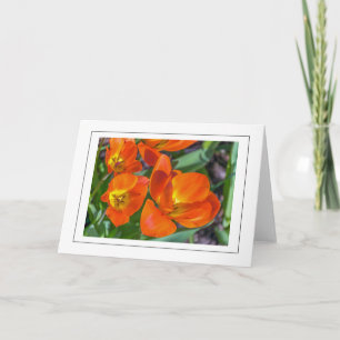 Hellorange Blume Grußkarte Karte
