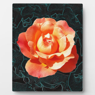 Hellorange Rose Fotoplatte