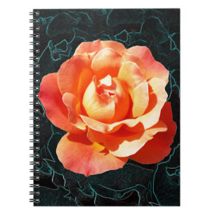 Hellorange Rose Notizblock