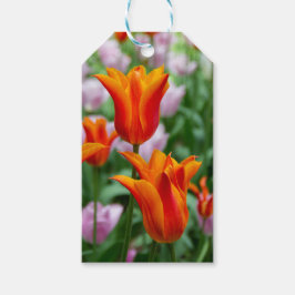 Hellorange Tulpen im Park Geschenkanhänger