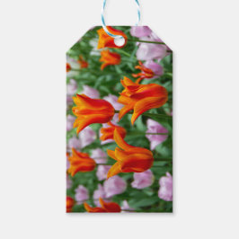 Hellorange Tulpen im Park Geschenkanhänger