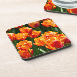Hellorange Tulpen im Park Getränkeuntersetzer
