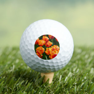 Hellorange Tulpen im Park Golfball