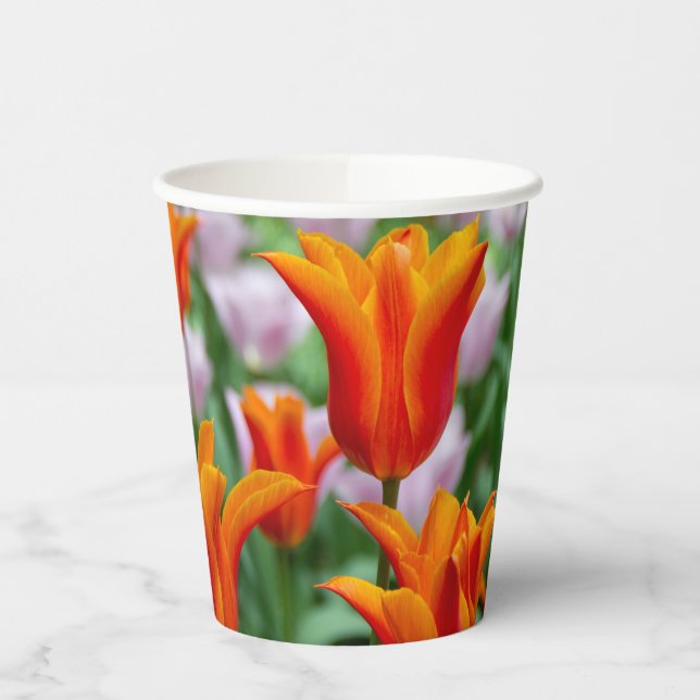 Hellorange Tulpen im Park Pappbecher (Links)