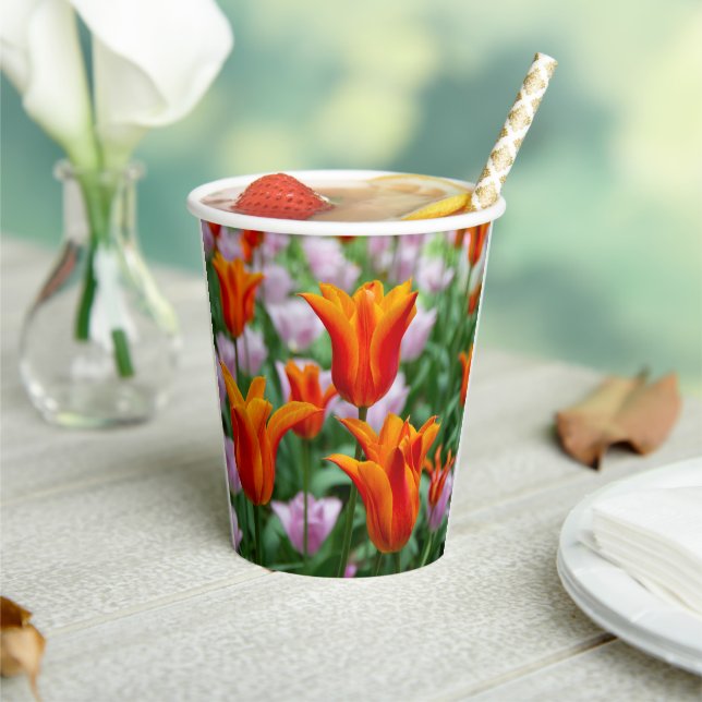 Hellorange Tulpen im Park Pappbecher (In Situ)