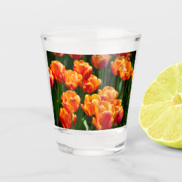 Hellorange Tulpen im Park Schnapsglas