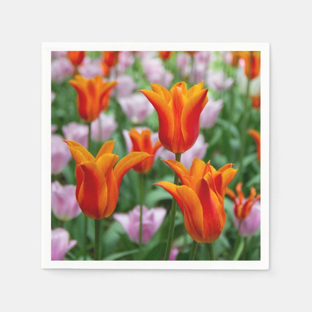 Hellorange Tulpen im Park Serviette (Vorderseite)