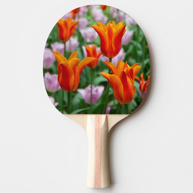 Hellorange Tulpen im Park Tischtennis Schläger (Vorderseite)