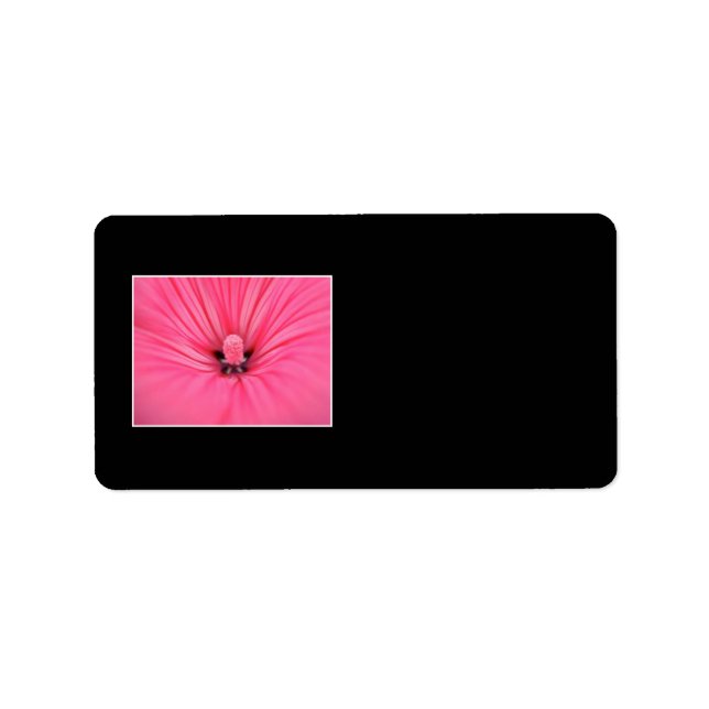 Hellrosa Blume. Adressaufkleber (Vorne)