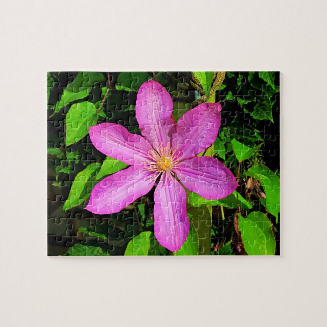 Hellrosa Blume Blühen und grüner Hintergrund (Horizontal)