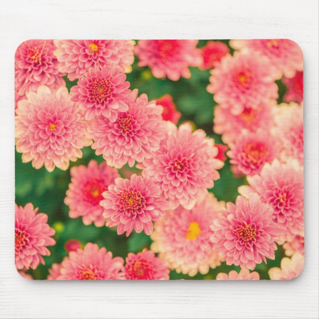 Hellrosa Blume Foto Mousepad (Vorne)