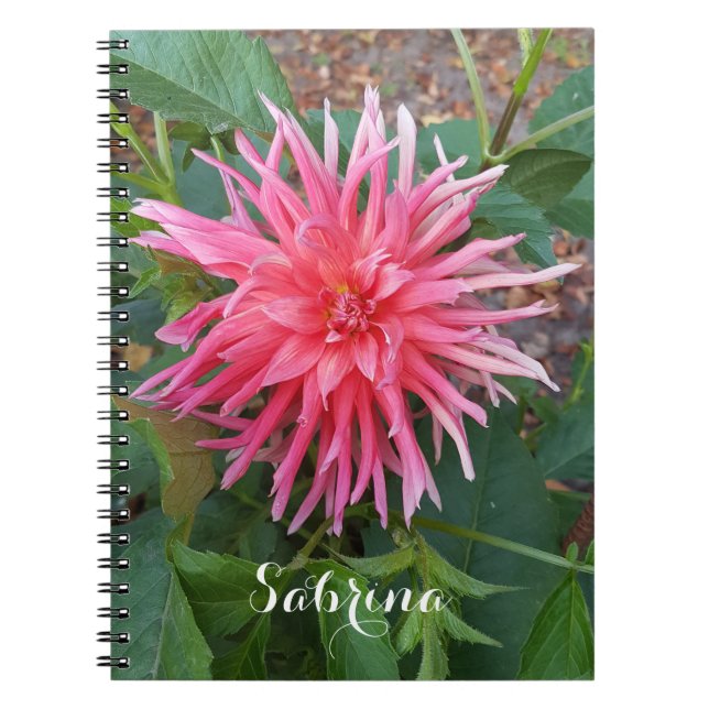 Hellrosa Dahlia Blume. Notizblock (Vorderseite)