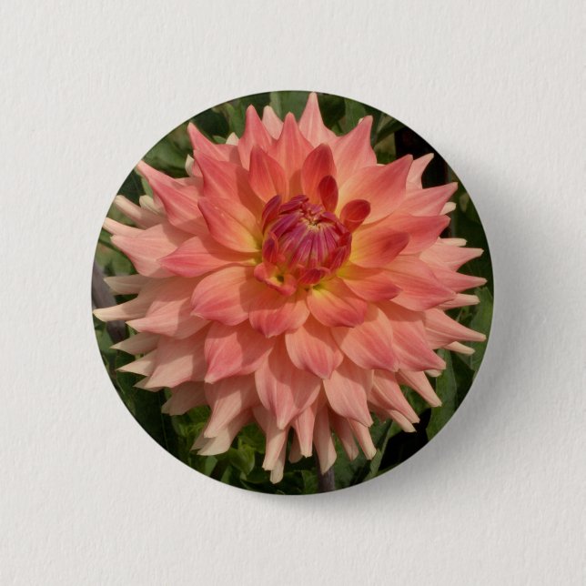 Hellrosa Dahlie-Blumenblatt-Motiv Button (Vorderseite)