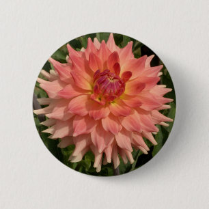 Hellrosa Dahlie-Blumenblatt-Motiv Button