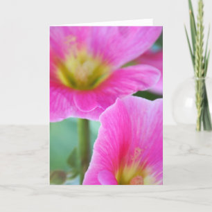Hellrosa Hollyhock-Karte Karte