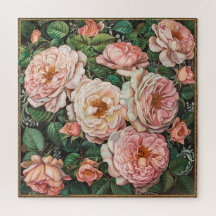 Hellrosa Rose