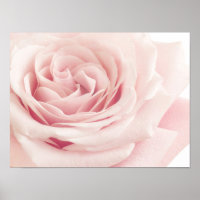 Hellrosa Rose Blume - Rose Blume Blumenstrauß