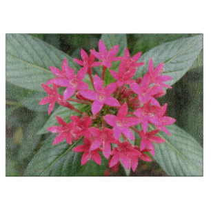 Hellrosa tropische Blume Glasschneideplatte Schneidebrett