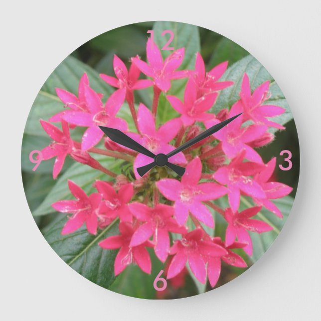 Hellrosa, tropische Blume, Uhr (Vorderseite)