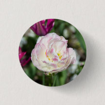 Hellrosa Tulpen an einem sonnigen Tag