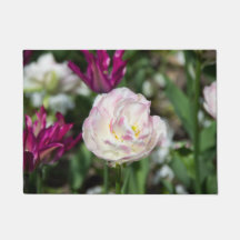 Hellrosa Tulpen an einem sonnigen Tag