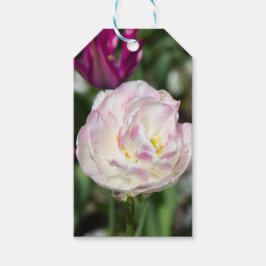 Hellrosa Tulpen an einem sonnigen Tag Geschenkanhänger