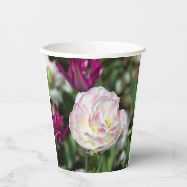 Hellrosa Tulpen an einem sonnigen Tag Pappbecher (Vorderseite)
