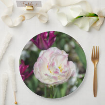 Hellrosa Tulpen an einem sonnigen Tag