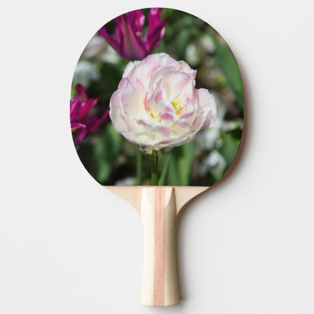 Hellrosa Tulpen an einem sonnigen Tag Tischtennis Schläger (Vorderseite)