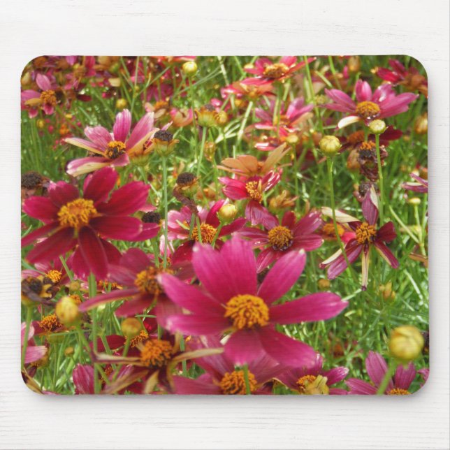 Hellrosa und gelbe Daisy-Blume Mousepad (Vorne)