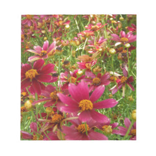 Hellrosa und gelbe Daisy-Blume Notizblock