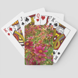 Hellrosa und gelbe Daisy-Blume Spielkarten