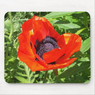 Hellrote Blume auf Grün Mousepad