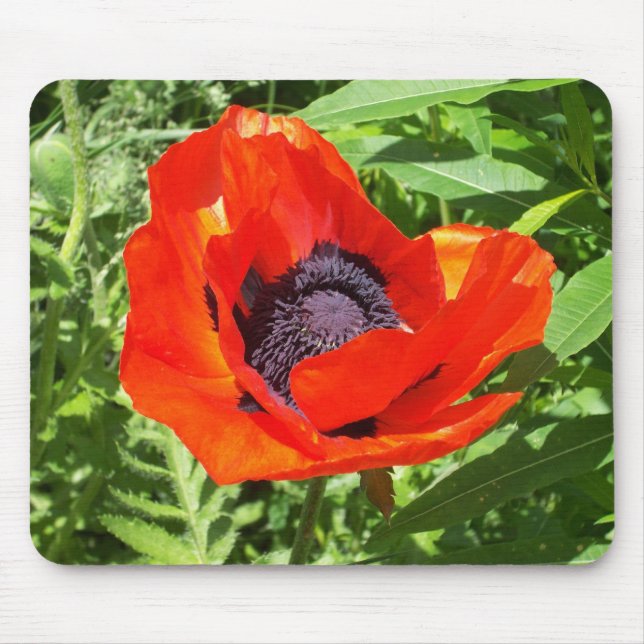 Hellrote Blume auf Grün Mousepad (Vorne)