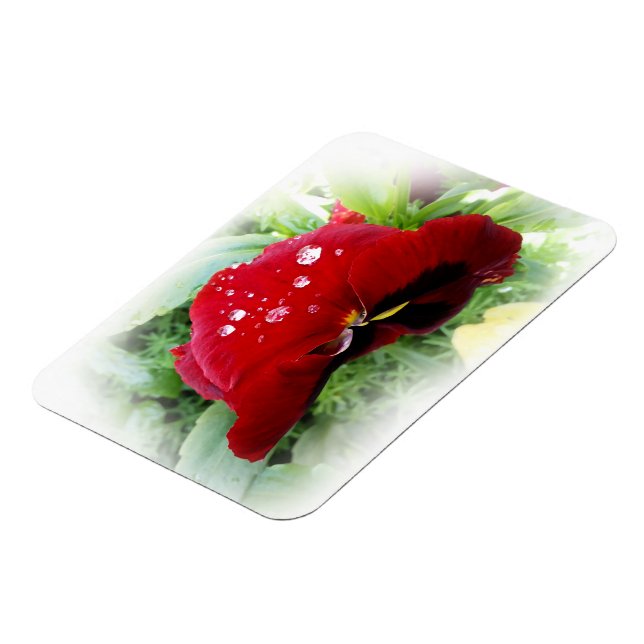 Hellrote Panik Magnet (Linke Seite)