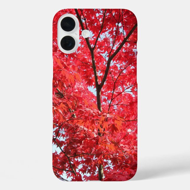 Hellroter Japanischer Ahornbaum iPhone 16 Plus Hülle (Rückseite)