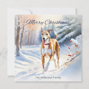 Hellroter Windhund im Schnee Weihnachten
