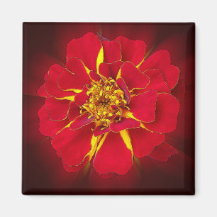 hellrotes Geländer Magnet