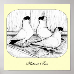 Helm Tauben Trio Poster