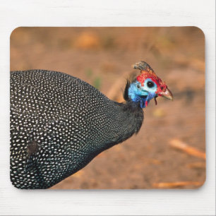 Helmperlhuhn (Numida meleagris). Afrika, Mousepad