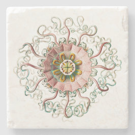 Helmqualle Steinuntersetzer