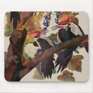 Helmspecht Audubon Vogel Wildtier Gemälde Mousepad