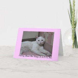Helmut Notecards Karte