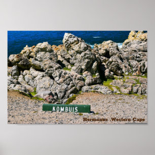Hemanus Rocks, Western Cape Poster