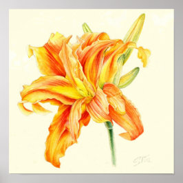 Hemerocallis-Taglilie Poster
