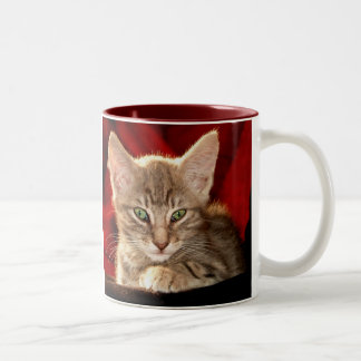 Hemingway-Kätzchen Zweifarbige Tasse